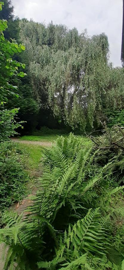 Fewo Im Naturschutzgebiet Hiddenhausen Esterno foto