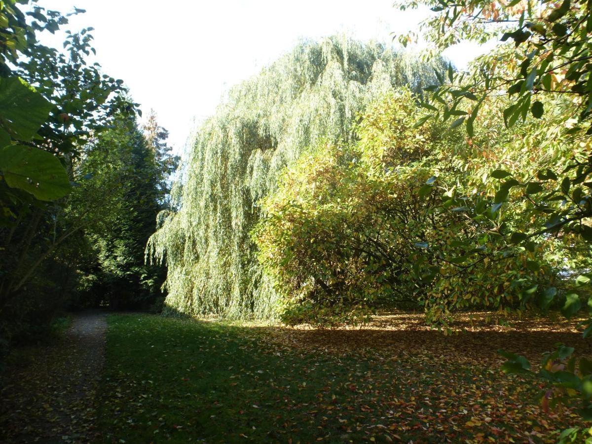 Fewo Im Naturschutzgebiet Hiddenhausen Esterno foto