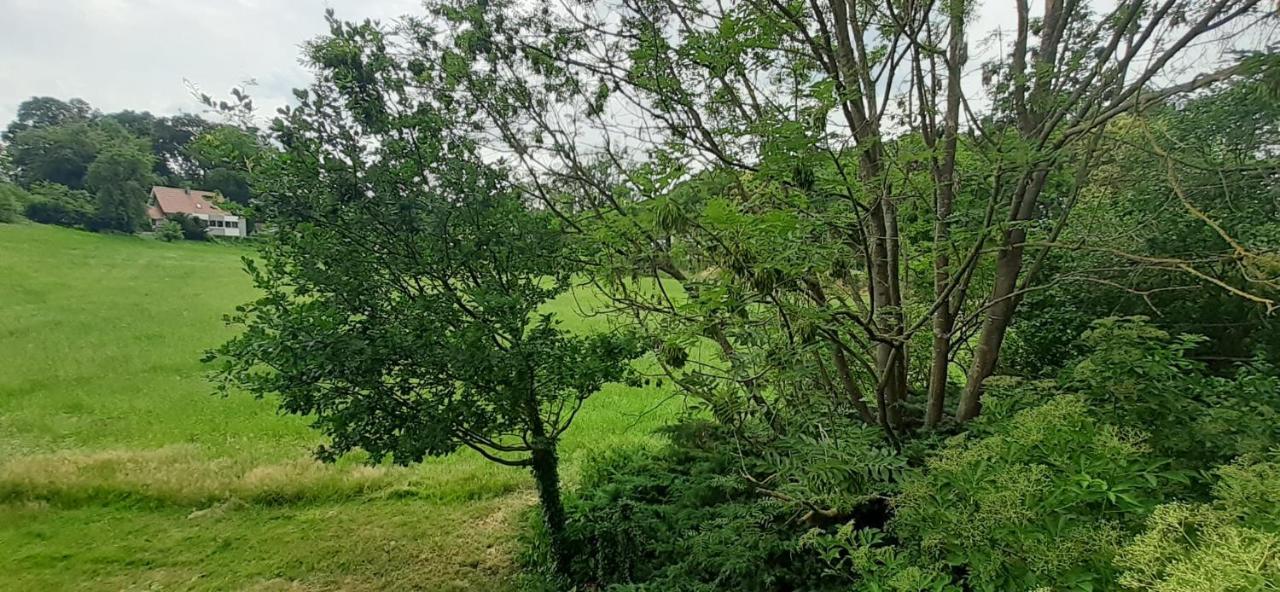 Fewo Im Naturschutzgebiet Hiddenhausen Esterno foto